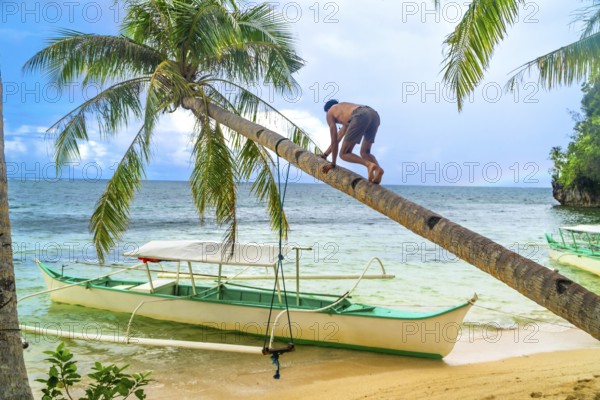Tourist climbing a leaning palm tree over a tropical beach with traditional outrigger boats on