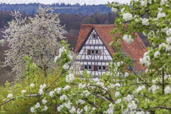 Historic village buildings. Half-timbered farmhouse in the open-air museum on the Swabian Alb.