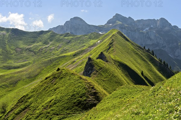 View from the Col de Bise mountain pass over green alpine meadows on both sides of the sharp Velan