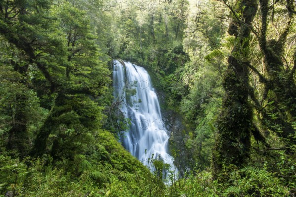 Waterfall in the jungle, Pumalin-Douglas Tompkins National Park, Chaiten, Los Lagos region,