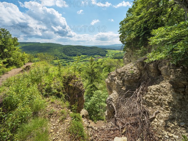 Spring in Eichsfeld, view from the rock formation Nase, Asbach-Sickenberg Eichsfeld, Werratal