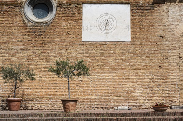Brick wall with a sundial and two olive trees in a pot on a Mediterranean site, Tuscany, Italy,