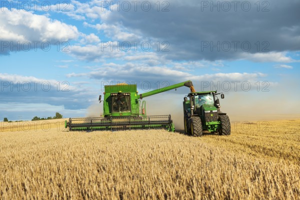 Combine harvester harvesting wheat and unloading grain onto tractor with trailer, endless