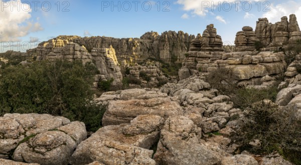 Bizarre limestone rock formations, El Torcal nature reserve, Torcal de Antequera, Malaga province,