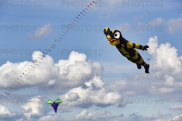 Kite, Salamander flies in the sky, Cirrus, Cumulus, kite festival in Vinsebeck, Steinheim,
