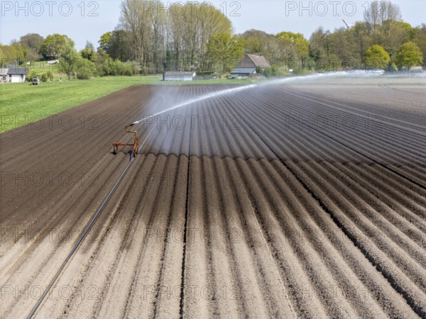 Artificial irrigation of a potato field in April, with a sprinkler system, long drought in spring