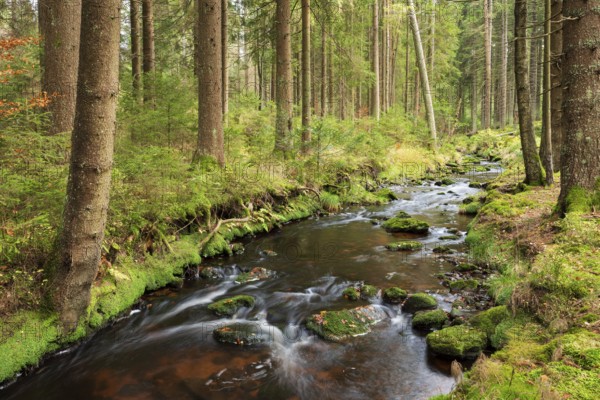 The Weißmain, source river of the Main, Bischofsgrün, Fichtelgebirge, Upper Franconia, Bavaria,