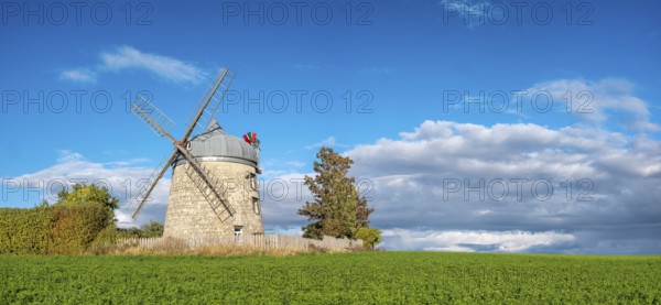 Green field with windmill under blue sky, mill, tower windmill, Tultewitz, Saxony-Anhalt, Germany,