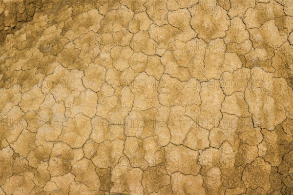 Cracked earth texture forming interesting patterns in bardenas reales desert, navarre, spain,