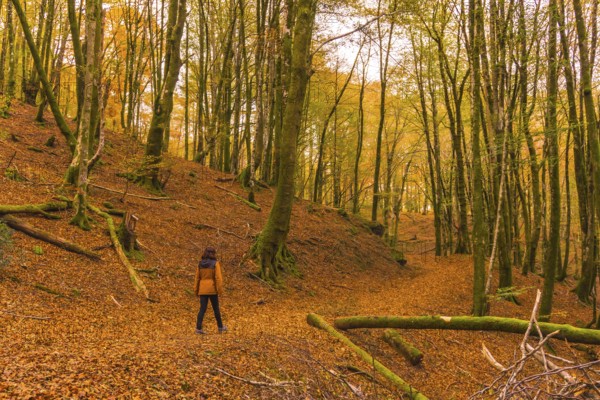 Lifestyle, a young brunette in a yellow jacket walking along the forest path in autumn. Artikutza