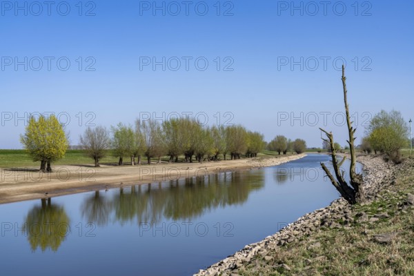The Gierthausen oxbow lake near Schenkenschanz, Kleve, on the Lower Rhine, North Rhine-Westphalia,