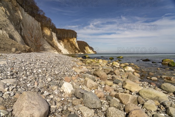 Beach and the chalk cliffs on the Baltic Sea coast in Jasmund National Park, Ruegen Island,