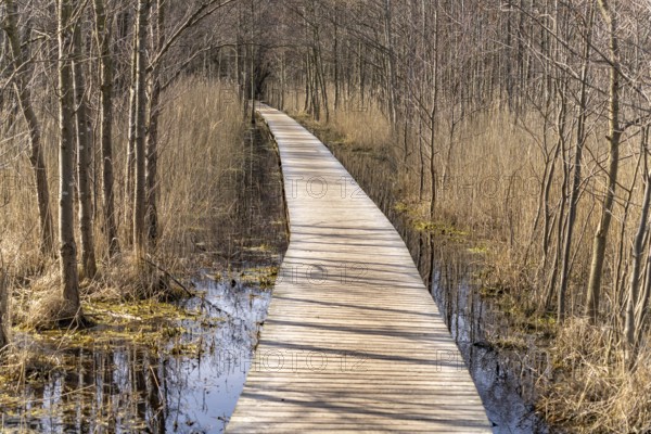 Hiking trail in Darßer Ort, Vorpommersche Boddenlandschaft National Park, Mecklenburg-Vorpommern,
