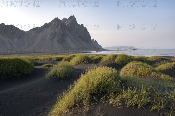 Black beach with volcanic sand, sandy beach, dunes with grass, Stokksnes headland, Klifatindur