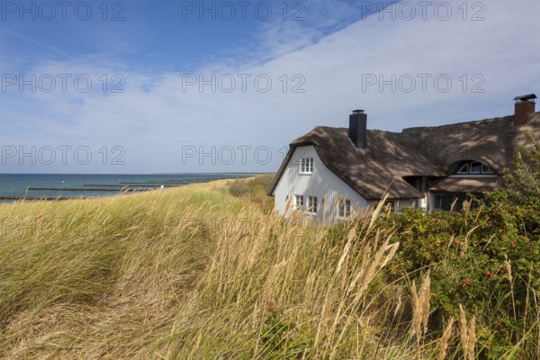 Thatched roof house in the dunes on the beach, Baltic Sea, Ahrenshoop, Fischland,
