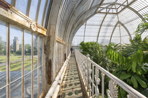 Palm House, oldest Victorian greenhouse in the world, Royal Botanic Gardens, Kew, London, England,
