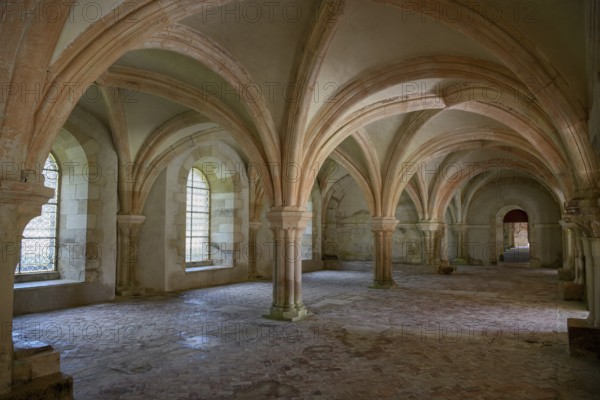 Ceiling arches, Fontenay Cistercian Abbey, Unesco World Heritage Site, Cote d'Or, Burgundy, France,