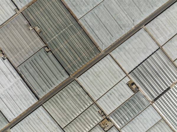Masses of shimmering plastic greenhouses near El Ejido, aerial view, drone shot, Almería province,