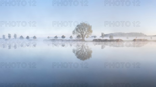 Still lake with morning mist in the soft morning light, a tree stands on the shore, landscape is