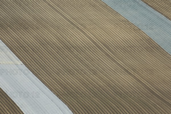 Field with grooves from above covered with foil, background, structure, pattern, line pattern,