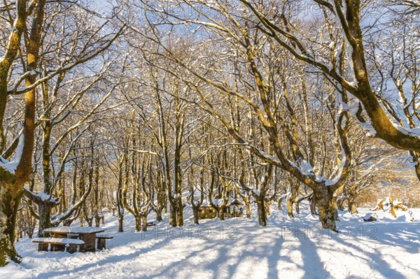 Beautiful refuge in the Oianleku natural park in the town of Oiartzun next to Peñas de Aya,