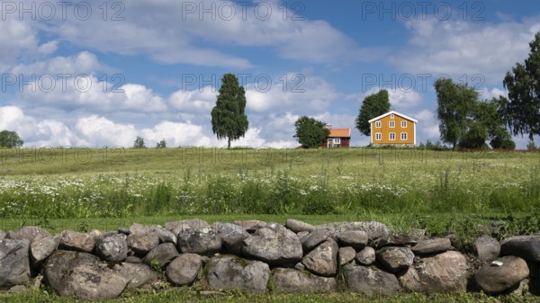 Falun red and Swedish yellow wooden house, stone wall, trees, meadow, blue sky, clouds, at Lake