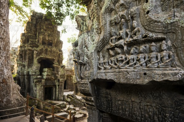 Ta Prohm, Angkor Wat, Angkor, UNESCO World Heritage Site, Siem Reap, Cambodia, Indochina, Southeast