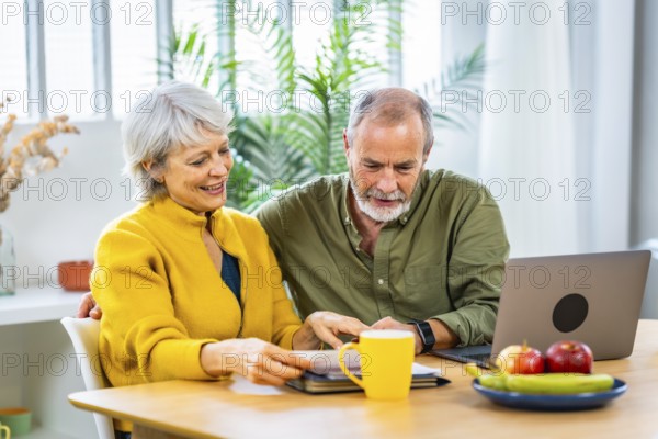Relaxed senior couple doing paperwork and household accountability together using laptop and