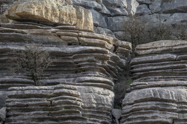 Bizarre limestone rock formations, El Torcal nature reserve, Torcal de Antequera, Malaga province,