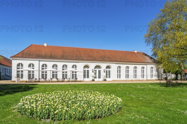 Bed with blooming tulips in front of the orangery of Neuhardenberg Castle, Neuhardenberg,
