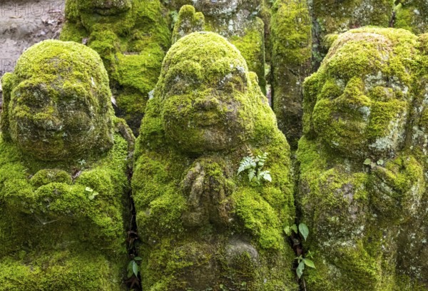 Moss-covered stone statues of rakans, the disciples of Buddha, Otagi Nenbutsu-ji temple, Kyoto,