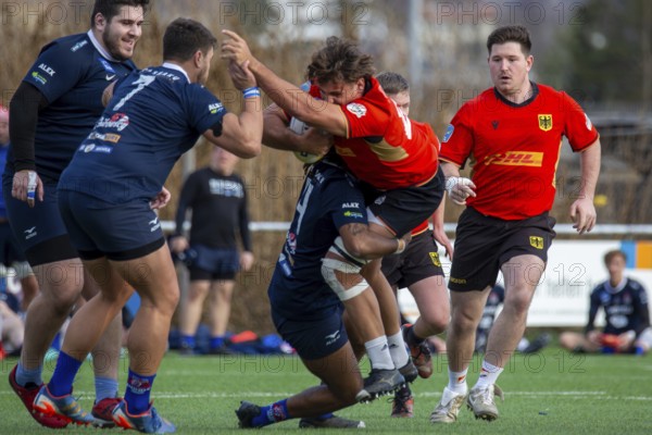 Rugby: Germany against MKS Pogon Awenta Siedlce, Poland in Heidelberg (test match of the German