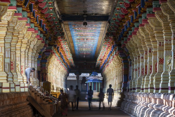 Colourfully painted pillars, temple hall, Ramanathaswami Temple, Rameswaram or Rameshwaram, Pamban