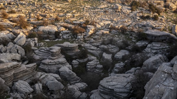Bizarre limestone rock formations, El Torcal nature reserve, Torcal de Antequera, Malaga province,