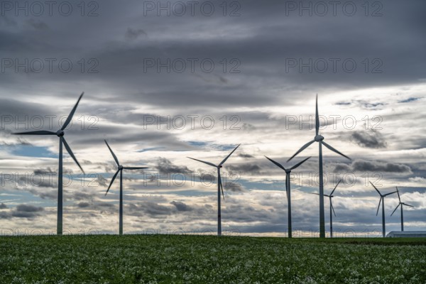 Wind farm near Holzweiler, town of Erkelenz, storm, strong wind, wind turbines, North