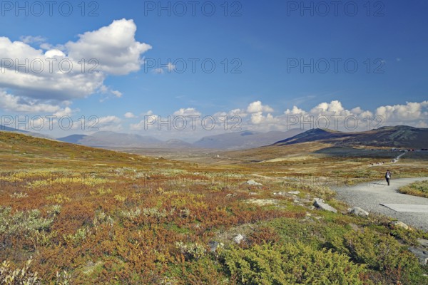Vast autumnal landscape with a dirt road and distant mountains under a blue sky, hike to Snöhetta