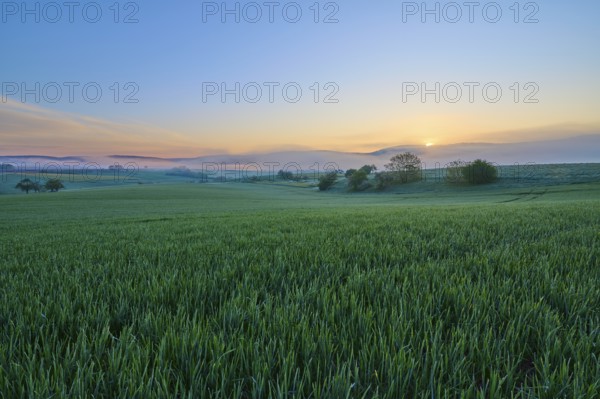 A picturesque sunrise over a wide green field and a gentle hilly landscape, Mönchberg, Mltenberg,