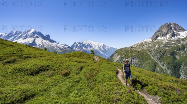 Mountaineer on hiking trail, mountain panorama with glaciated mountain peaks, Aiguille Verte with