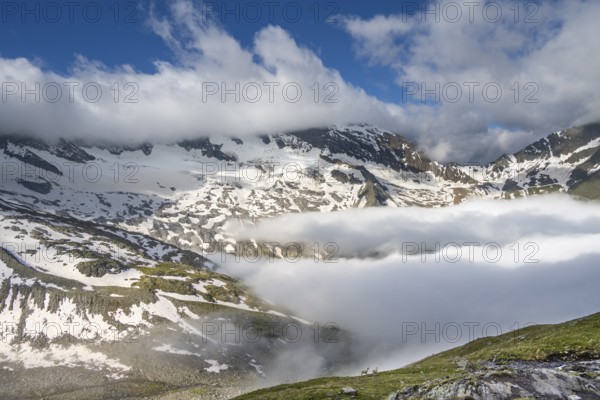 Two sheep on a mountain meadow in front of a mountain landscape, high fog in the valley, behind
