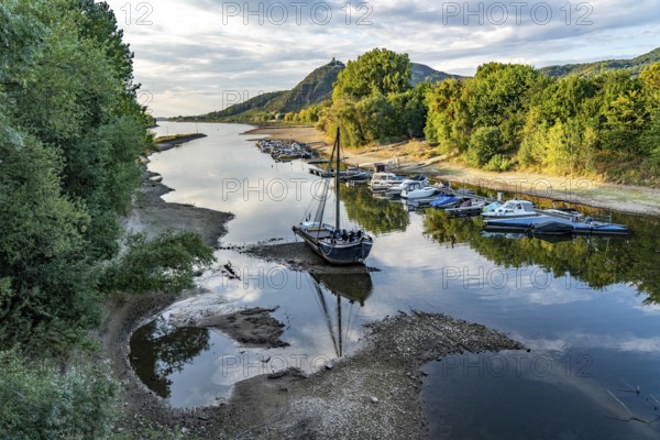 The Rhine at extremely low water, near Bad Honnef Rhöndorf, below the Drachenfels, the historic
