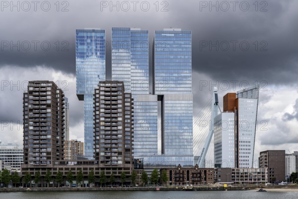 Rotterdam, skyline at the Nieuwe Maas, Erasmus Bridge, skyscrapers at the Kop van Zuid district,