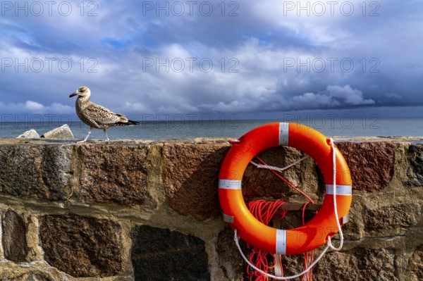 The city harbour of Sassnitz, island of Rügen, pier, harbour dam, dark rain clouds, lifebuoy,