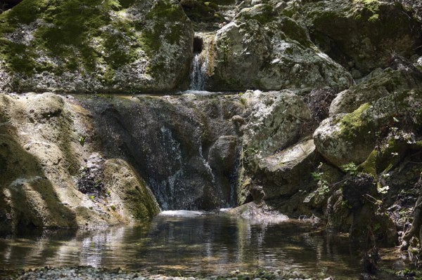 Small waterfall flows over moss-covered rocks in a forest, Butterfly Valley, Butterfly Valley,