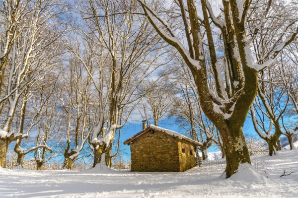 Beautiful refuge among giant trees in the Oianleku natural park in the town of Oiartzun next to