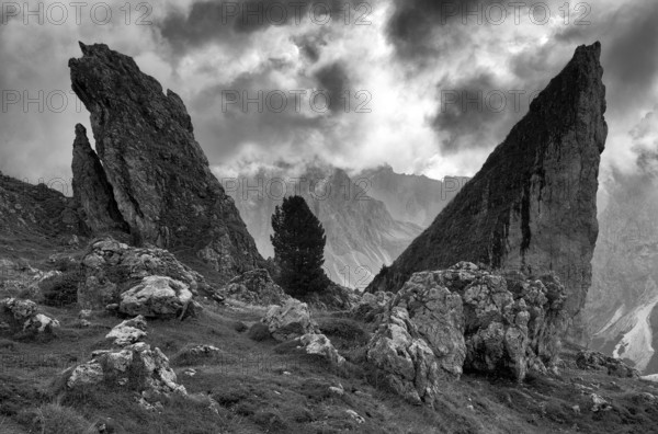 Malga-Alm below the Geisler peaks, Puez-Odle nature Park, Seceda, Val Gardena, Trentino, South
