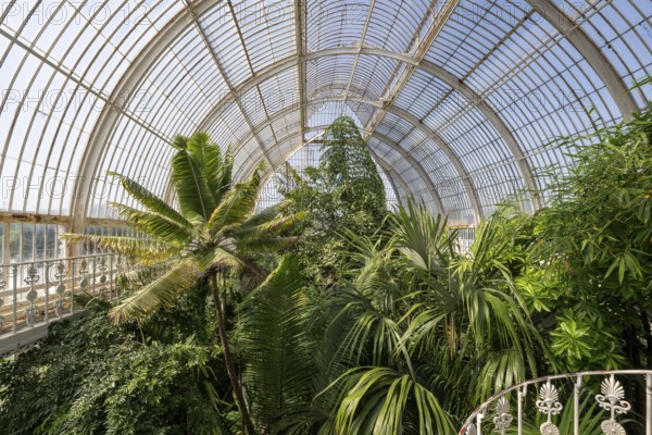 Palm House, oldest Victorian greenhouse in the world, Royal Botanic Gardens, Kew, London, England,