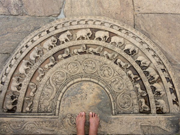 Floor relief with elephants, Polonnaruwa, Sri Lanka, Asia