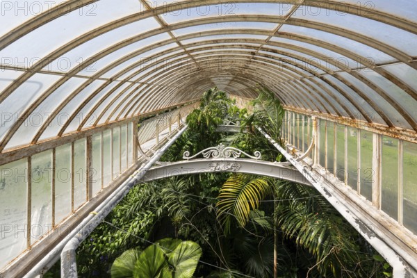 Tropical rainforest, Palm House, oldest Victorian greenhouse in the world, Royal Botanic Gardens,