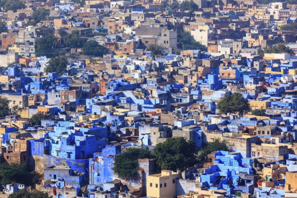 Aerial view of Jodhpur, also known as Blue City due to the vivid blue-painted Brahmin houses around