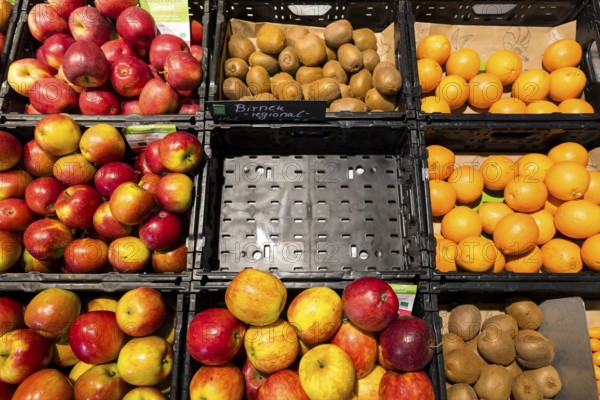 Fruit counter in a supermarket or organic food shop, here with different types of apples, kiwis,